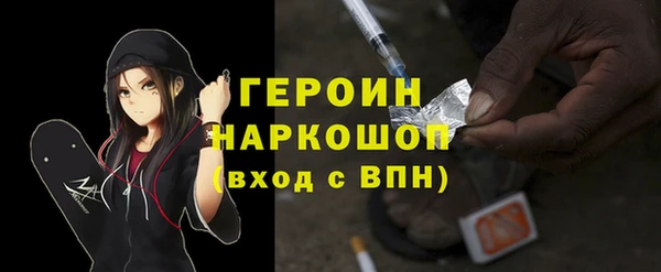 амф Тайга