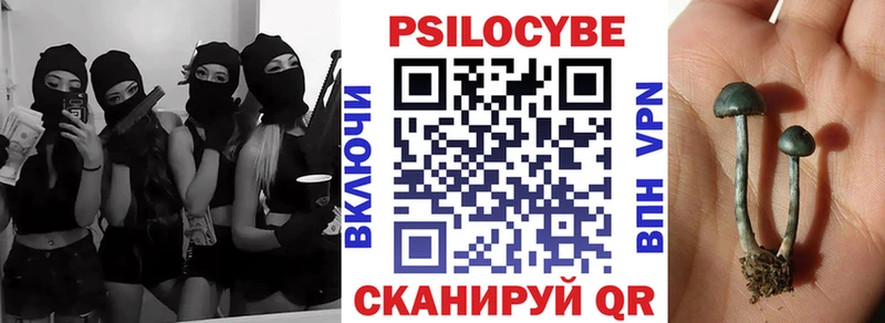 KRAKEN   Невьянск  Псилоцибиновые грибы Psilocybine cubensis  где купить наркотик 